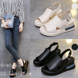 EFbWT_  T_ fB[X ItBX fB[X i[XT_ T}[u[c V[gu[c tbgV[Y V[Y ~ y^R RtH[g t ėp 