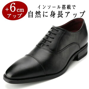 rWlXV[Y 6cmAbv Y ʐ vC hL y ʋC 3E  ubN v  VY ʐ^Be l Ǝ  p[eB ߑ  V[NbgV[YɓK