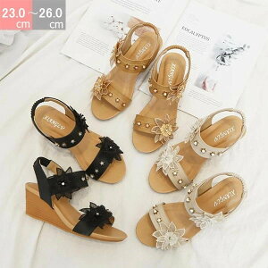 @T_ fB[XT_ ɂȂ EGbW\[T_ fB[X q[ r LLT_@₷ fB[X T_Ȃ T_t  V[Y C