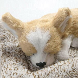 AȌ̂ʂ ` 킢Q u Y CeA