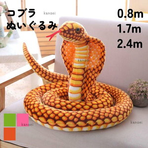 Ru  ւ wr 傫  ʂ  xbh ߋ ӂӂ  ̎q j̎q 킢 Mtg  CeA A