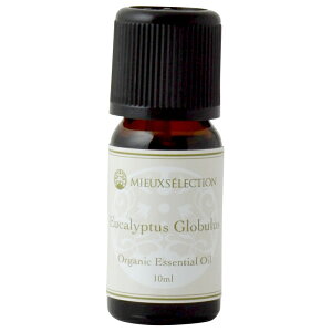 I[KjbNGbZVIC [JEOuX 10mly[֑Ώہz