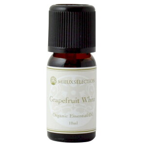 I[KjbNGbZVIC O[vt[cEzCg 10mly[֑Ώہz