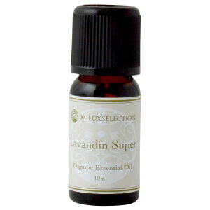 I[KjbNGbZVIC oWEX[p[ 10mly[֑Ώہz