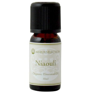 I[KjbNGbZVIC jAE 10mly[֑Ώہz