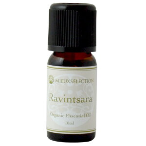 I[KjbNGbZVIC BT 10mly[֑Ώہz