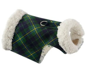 Susan Lanci/X[UV[Scotty Bowzer_ForestpEgXG[hR[g