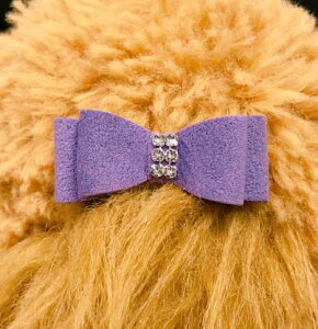 Susan LanciX[U@V[GiltmorewA{E_EgoCIbg