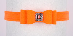 Susan LanciX[UV[Big Bow CollarpXtXLtփGNgbNIW