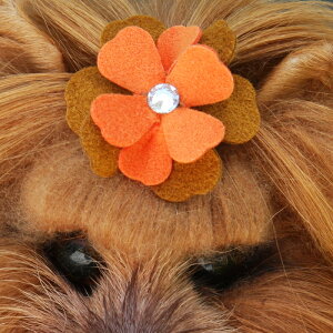 Susan LanciX[UV[Wendy Hair BowXtXLtwA{E