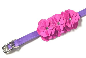 Susan LanciX[UV[Tinkie's Garden Collar_EgoCIbg×sNTt@CApXtXLt