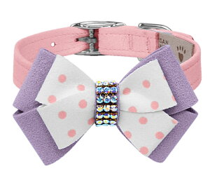 Susan LanciX[UV[Daisy Bow 1/2" CollarpXtXLt_t@E