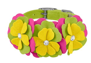 Susan LanciX[UV[Dragon Fruit Flower CollarpXtXLt