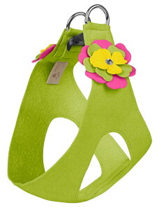 Susan Lanci/X[UV[Dragon Fruit Flower Step In HarnessXtXL[tn[lX