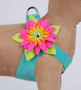 Susan LanciX[UV[Island Flower Harness_r~ju[t[n[lX