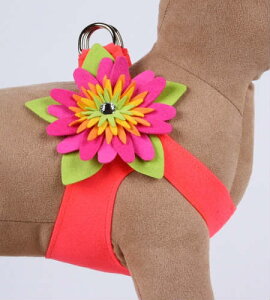 Susan LanciX[UV[Island Flower Harness_GNgbNsNt[n[lX
