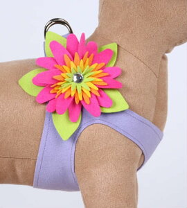 Susan LanciX[UV[Island Flower Harness_t`x_[t[n[lX