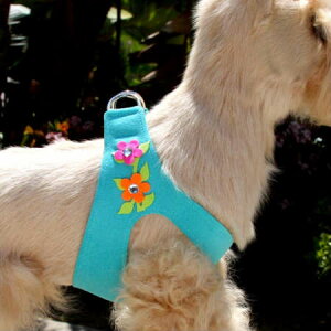 Susan Lanci/X[UV[Secret Garden Harness(r~ju[)XtXL[tn[lX