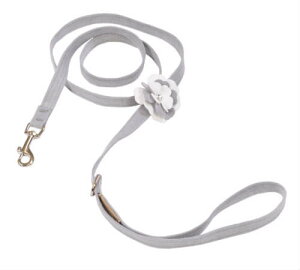 Susan LanciX[UV[Special Occasions Leash(v`i)XtXL[t[h