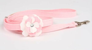 Susan LanciX[UV[Special Occasions Leash(ps[sN)XtXL[t[h