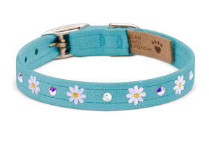 Susan LanciX[UV[Small Daisies Collar_eBtBu[ybgpXtXLt