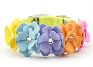 Susan LanciX[UV[Tinkies Garden Collar_C{[pXtXLt