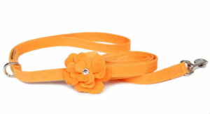 Susan LanciX[UV[Tinkies Garden Flower Leash_^WFXtXLt[h