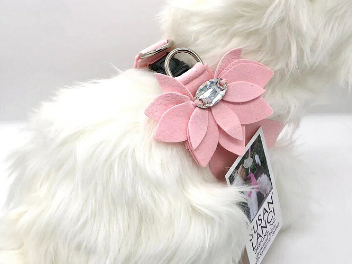 楽天市場】【生産終了品・在庫限り】☆Susan Lanci/スーザンランシー 