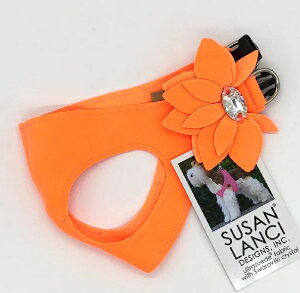 yYIiE݌ɌzSusan Lanci/X[UV[Water Lily@Harness_GNgbNIWXtXL[tn[lX