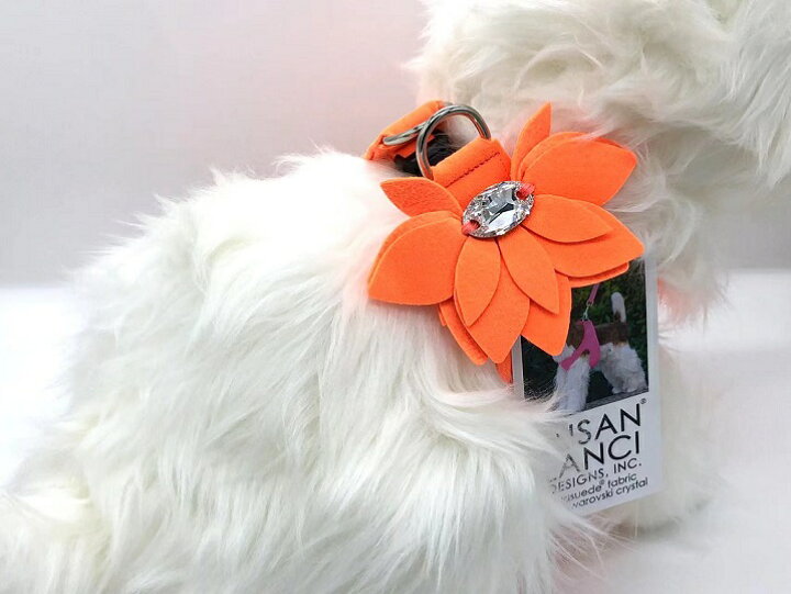 楽天市場】【生産終了品・在庫限り】☆Susan Lanci/スーザンランシー 