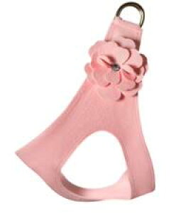 Susan Lanci/X[UV[Tinkie's Garden Harness_ps[sNXtXL[tn[lX