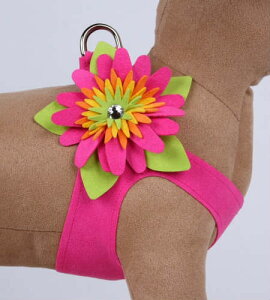 Susan LanciX[UV[Island Flower Harness_sNTt@CAt[n[lX