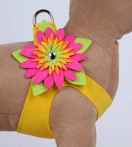 Susan LanciX[UV[Island Flower Harness_TVCt[n[lX