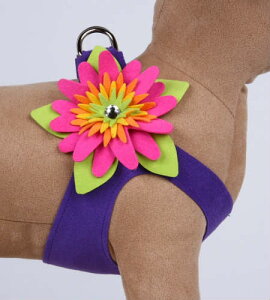 Susan LanciX[UV[Island Flower Harness_oCIbgt[n[lX