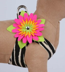 Susan LanciX[UV[Island Flower Harness_[ut[n[lXyLTCYz