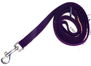 Susan LanciX[UV[Plain LeashEgXG[h[h(AWXg)