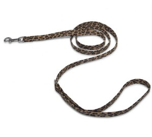 Susan LanciX[UV[Plain LeashEgXG[h[h(`[^)