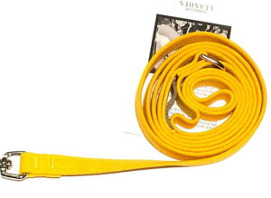 Susan LanciX[UV[Plain LeashEgXG[h[h(}[S[h)