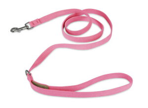 Susan LanciX[UV[Plain LeashEgXG[h[h(p[tFNgsN)