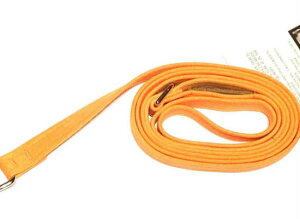 Susan LanciX[UV[Plain LeashEgXG[h[h(^WF)