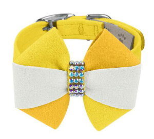 Susan LanciX[UV[PINA COLADA COLLARpXtXLt