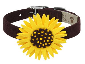 Susan LanciX[UV[Sunflower 1/2" CollarpXtXLt
