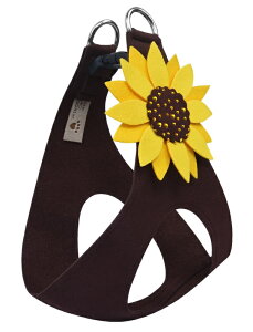 Susan Lanci/X[UV[Sunflower Step In HarnessXtXL[tn[lX