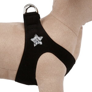 Susan Lanci/X[UV[Rock Star Harness_ubNXtXL[tn[lX