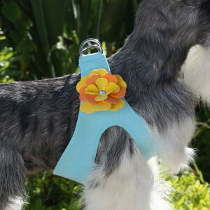 Susan Lanci/X[UV[Darla HarnessXtXL[tn[lX