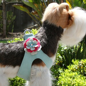 Susan Lanci/X[UV[Blossom HarnessXtXL[tn[lX