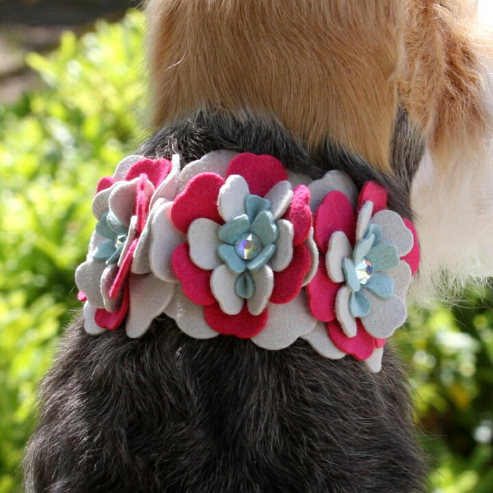 楽天市場】☆Susan Lanci☆スーザンランシーBlossom Collar犬用 