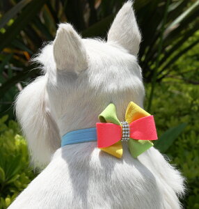 Susan LanciX[UV[Angela CollarpXtXLt