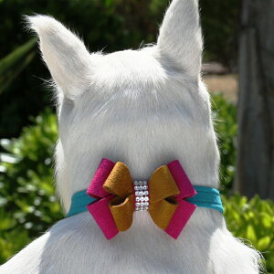 Susan LanciX[UV[Isabella CollarpXtXLt