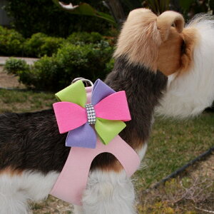 Susan Lanci/X[UV[Madison HarnessXtXL[tn[lX